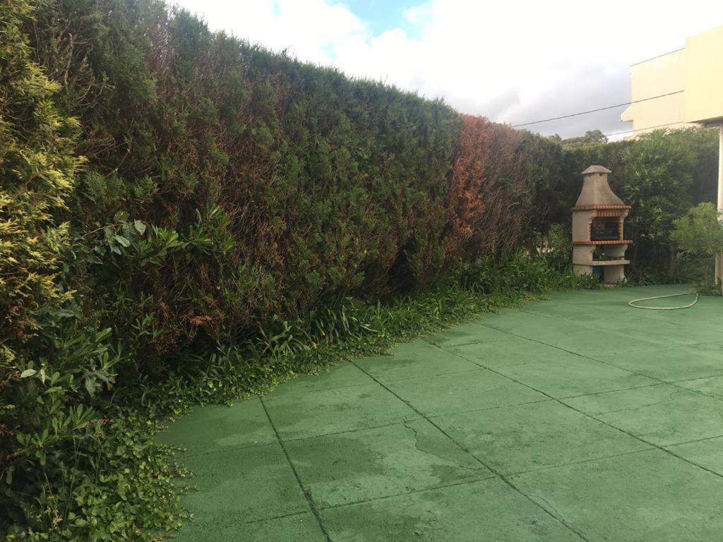 Ferienwohnung Jardim De Moledo Moledo  Exterior foto